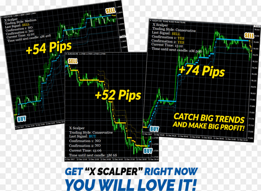 Hammer Scalping Forex Signal Foreign Exchange Market MetaTrader 4 Trend Following PNG