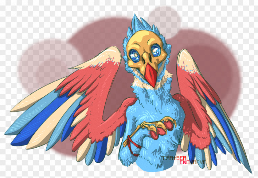 Parrot Macaw Beak Bird Illustration PNG