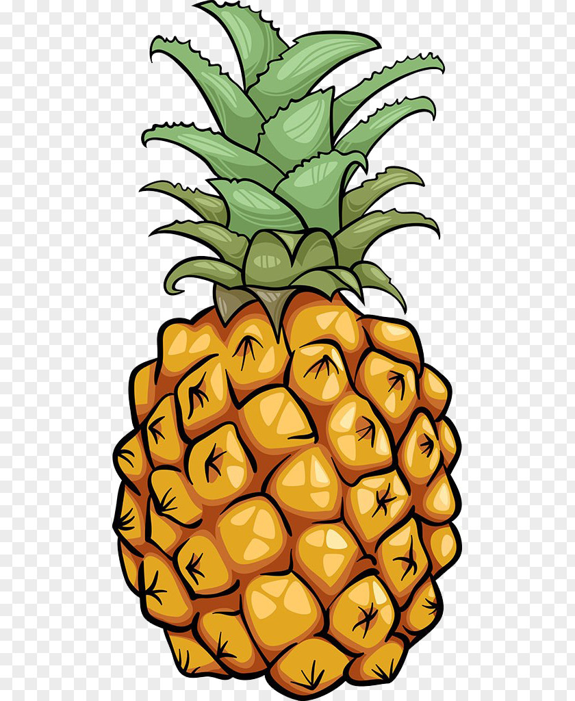 Pineapple Illustration Material Cartoon Royalty-free PNG