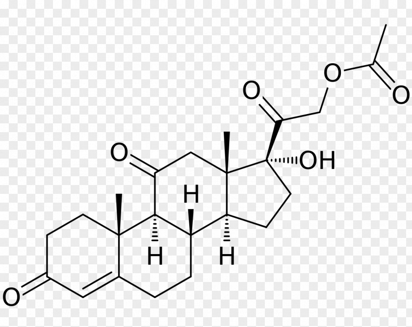 Hydrocortisone Cortisol Cortisone Acetate PNG