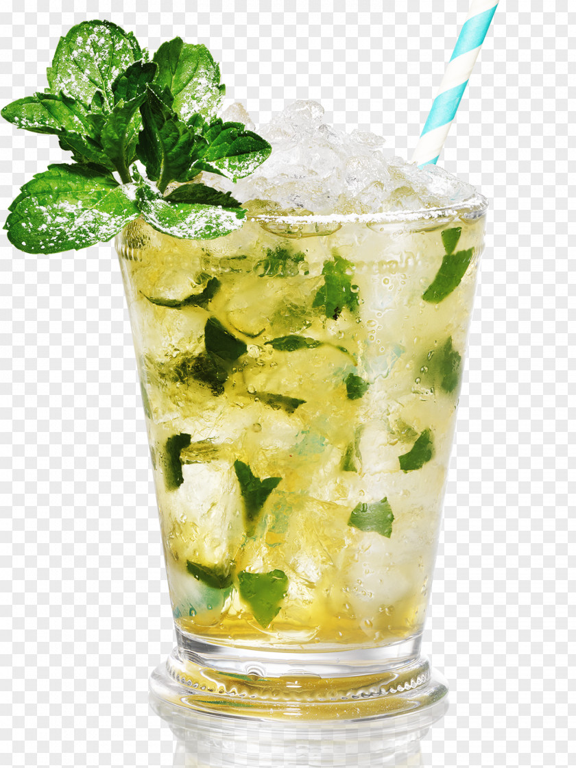 Mint Julep Whiskey Cocktail Mojito Rickey PNG