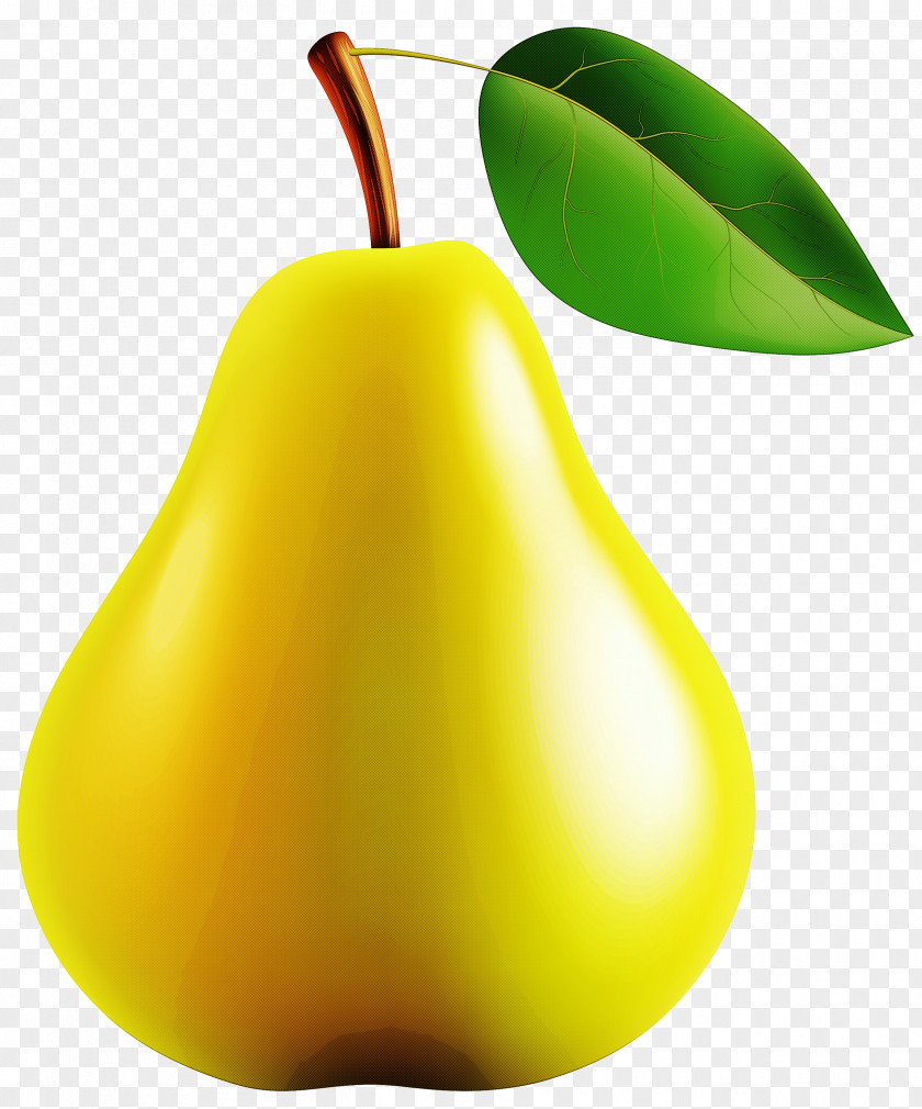 Pear Tree Plant Fruit PNG