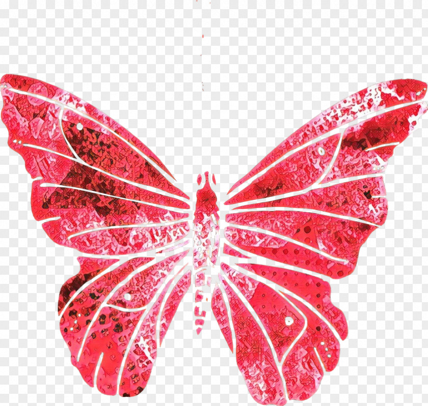 Pieridae Petal Leaf Background PNG