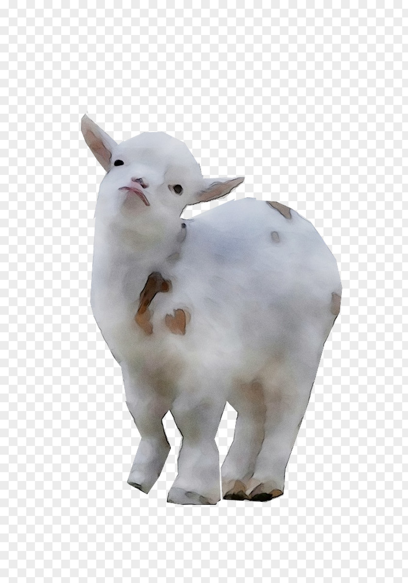 Sheep Cattle Goat Figurine Snout PNG