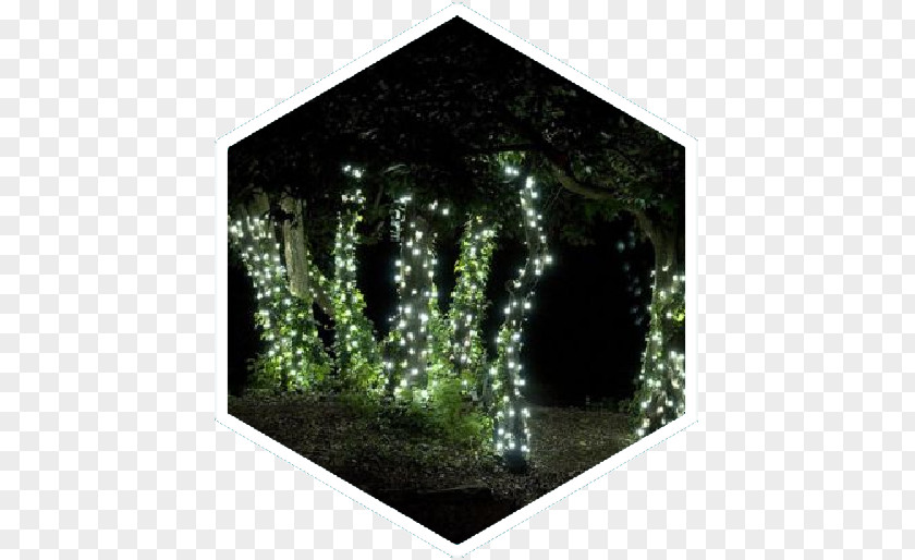 String Lights Light-emitting Diode Christmas Landscape Lighting PNG