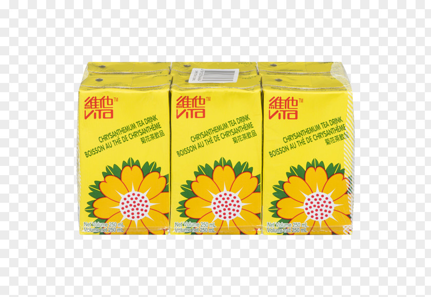 Tea Chrysanthemum Vita ×grandiflorum Drink PNG