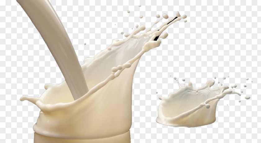 Yogurt Euclidean Vector Element PNG