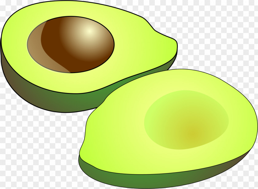 Avocado Auglis Root Of The Hair PNG