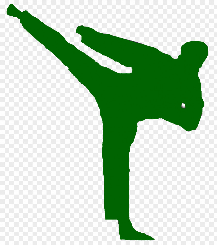 Mixed Martial Arts Taekwondo Sport International Taekwon-Do Federation Karate PNG