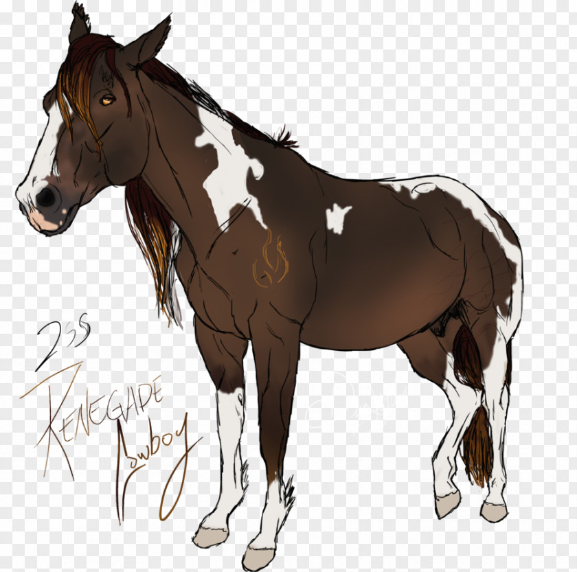 Mustang Mule Foal Stallion Bridle Pony PNG