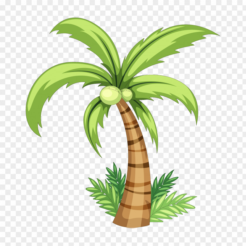 Palm Tree Hand Painted Download Coconut Drawing Clip Art PNG