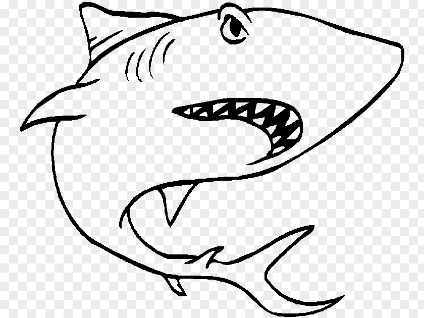 Shark Great White Coloring Book Hammerhead Bull PNG