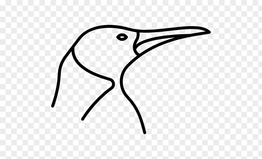 Bird Beak Of Prey White Stork Clip Art PNG