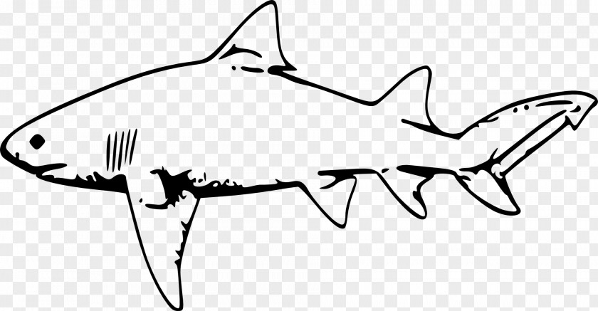 Fish Tank Lemon Shark Drawing Clip Art PNG