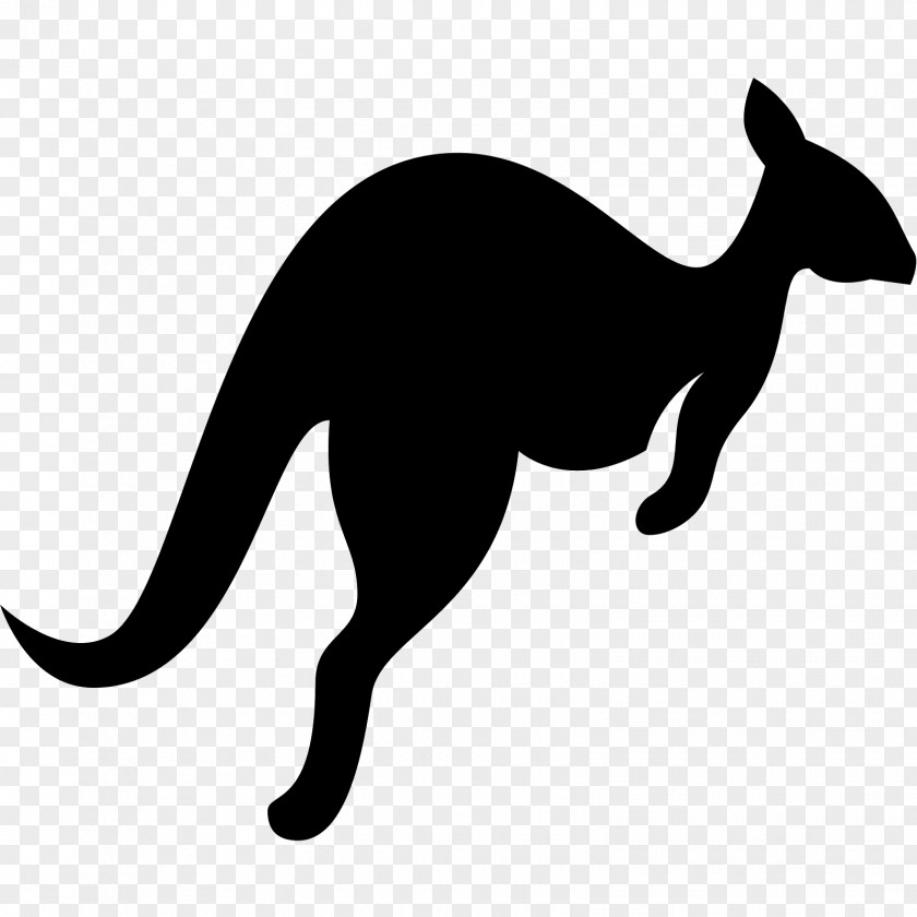 Kangaroo Whiskers Wallaby Reserve Clip Art PNG
