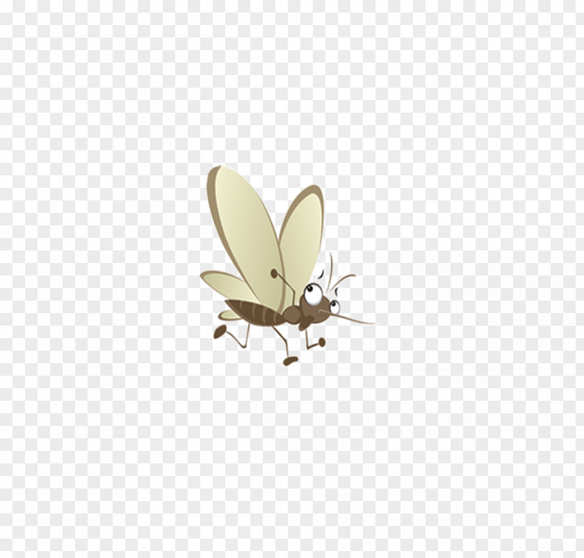 Mosquito Butterfly Insect Wing Pest PNG