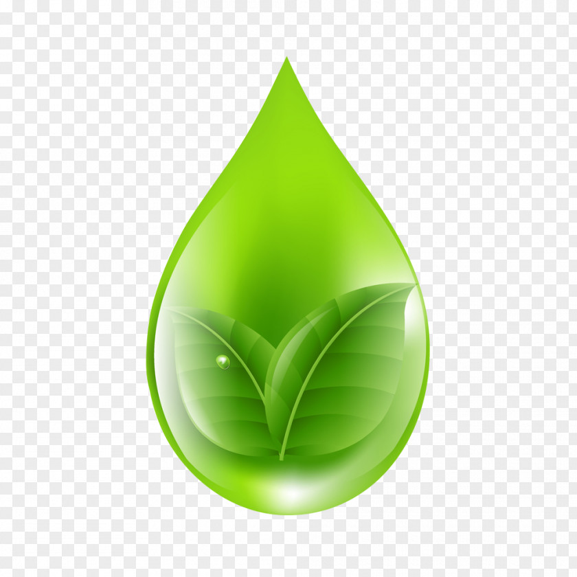 Nutraceutical Green Royalty-free PNG