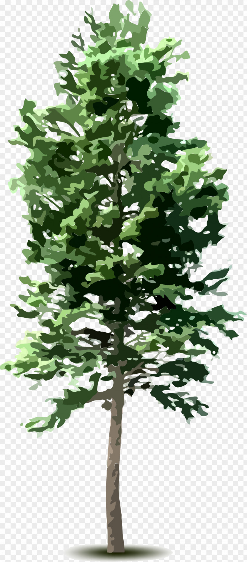 Tree Top Plant Clip Art PNG