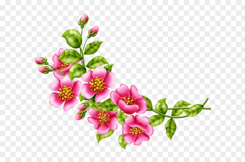 Flower Floral Design Cut Flowers Rose PNG