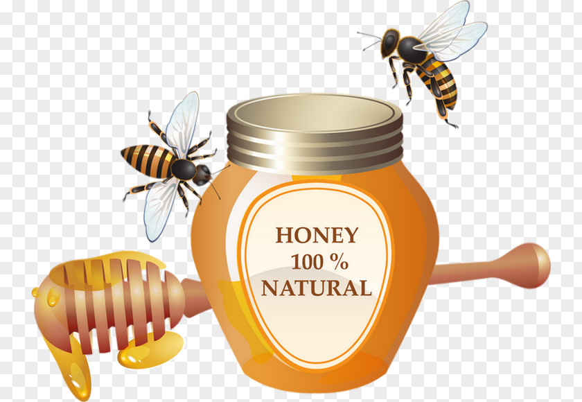 Honey Vector Graphics Illustration Clip Art Image PNG