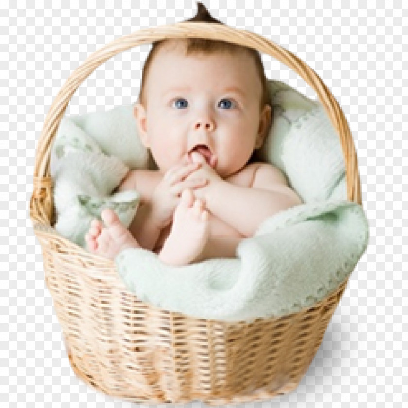 Infant Basket Nanny Child PNG