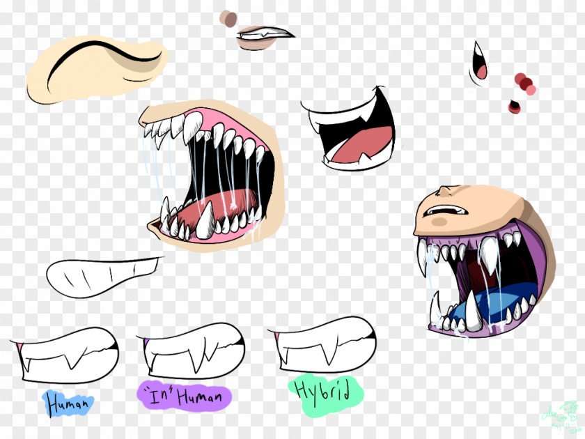 Painting Tooth Drawing Mouth PNG
