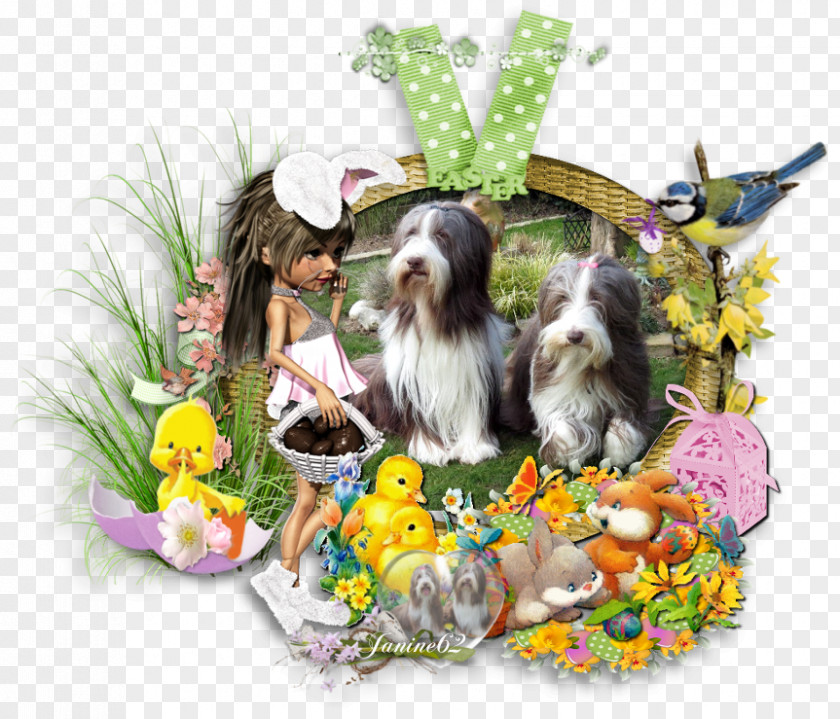 Puppy Dog Breed Shih Tzu Companion Easter PNG
