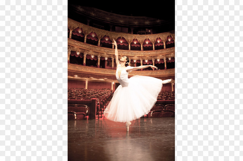 Texas Ballet Theater School Interdance Münster Dancer Vienne PNG