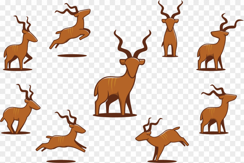Vector Different Forms Of A Group Deer Reindeer Clip Art PNG