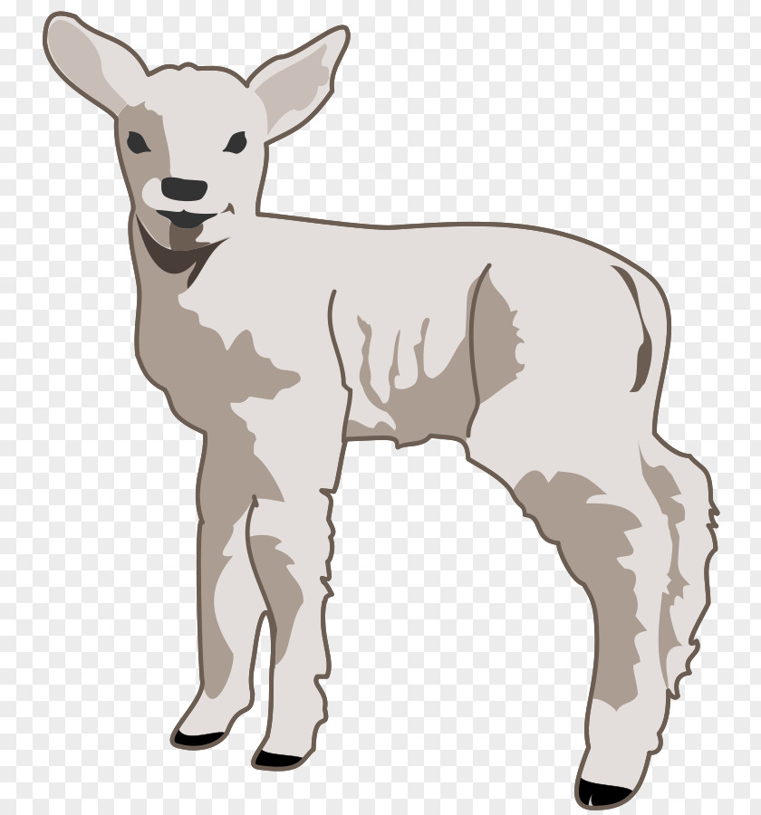 Cartoon Lamb Pictures Sheep And Mutton Free Content Clip Art PNG