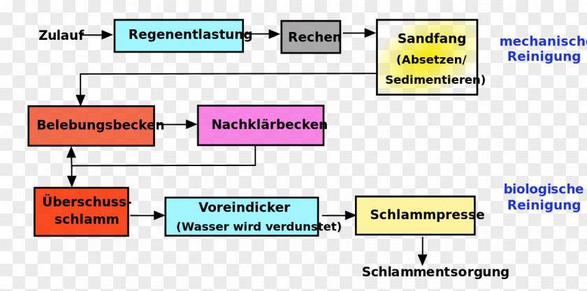 Flie Eutrophication Chemistry Sewage Treatment Photosynthesis Sodium Chloride PNG