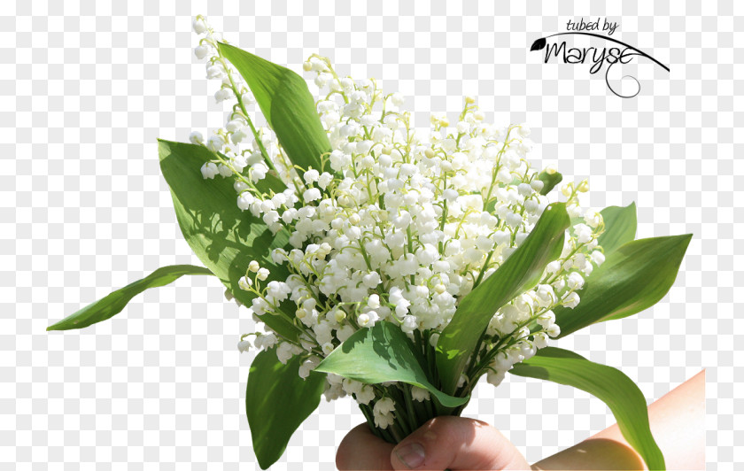 Lily Of The Valley Flower Bouquet Floral Design Cut Flowers PNG