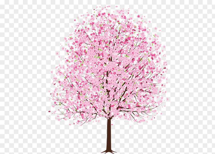 Spring Trees Cliparts Cherry Blossom Clip Art PNG
