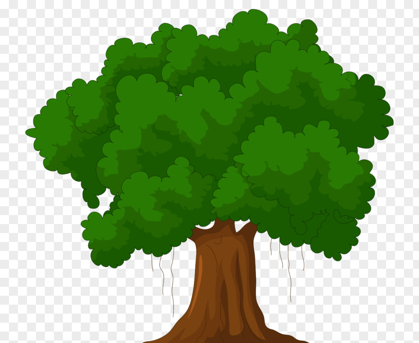 Trees Silhouette Clip Art Openclipart Free Content Image PNG