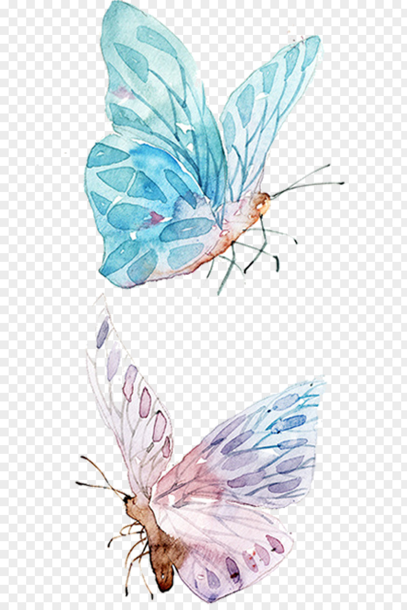 Blue Butterfly Watercolor Painting Drawing Clip Art PNG