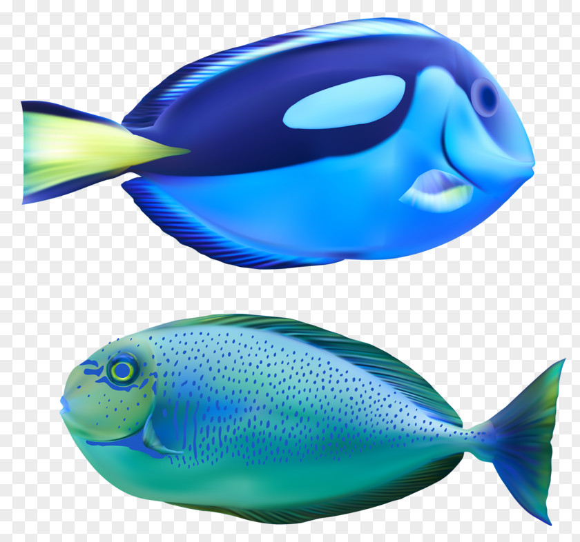 Fish Deep Sea Bony Fishes Marine Biology Creature PNG