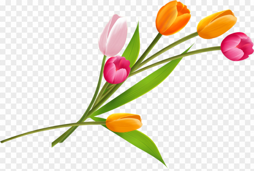 Flower Spring Bouquet Clip Art PNG