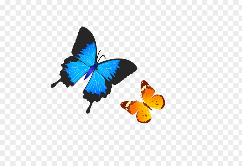 Flying Butterfly PNG