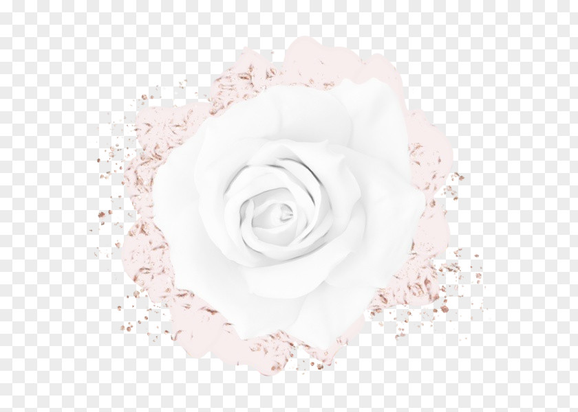 Garden Roses PNG