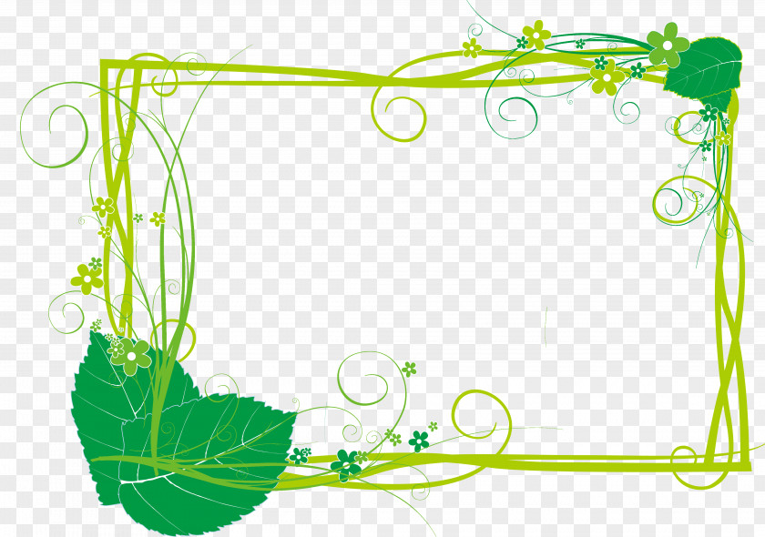 Green And Fresh Plant Borders Designer Clip Art PNG