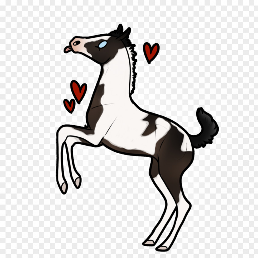 Little Miss Mustang Foal Pony Stallion Colt PNG