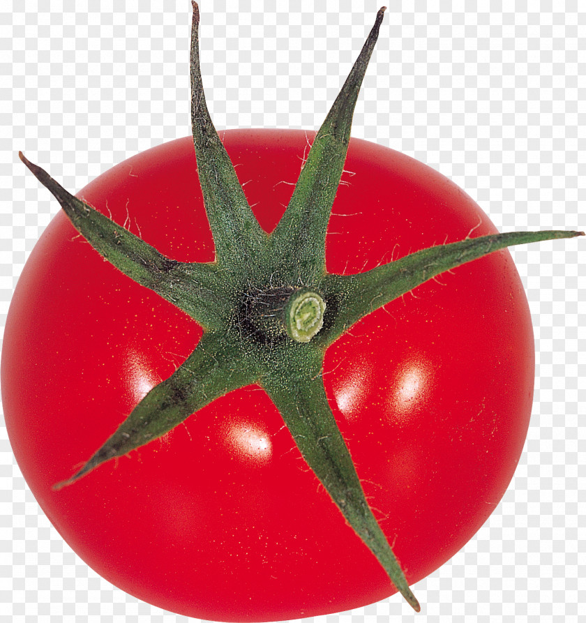 Tomato Cherry Vegetable Salsa Pizza PNG