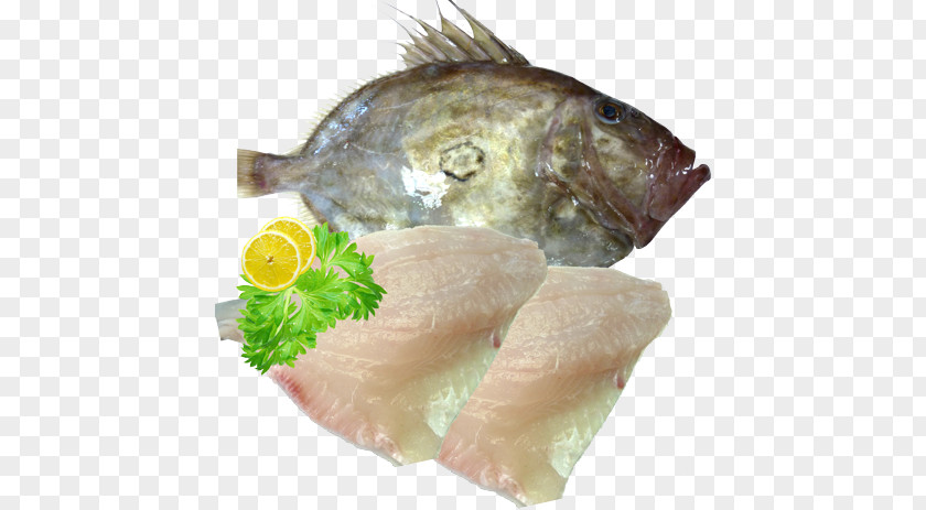 Fish Sashimi Smoked Salmon Recipe Tilapia Fillet PNG