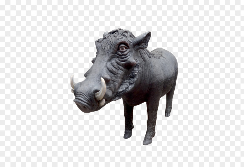 Pig Rhinoceros Cattle Wildlife Snout PNG