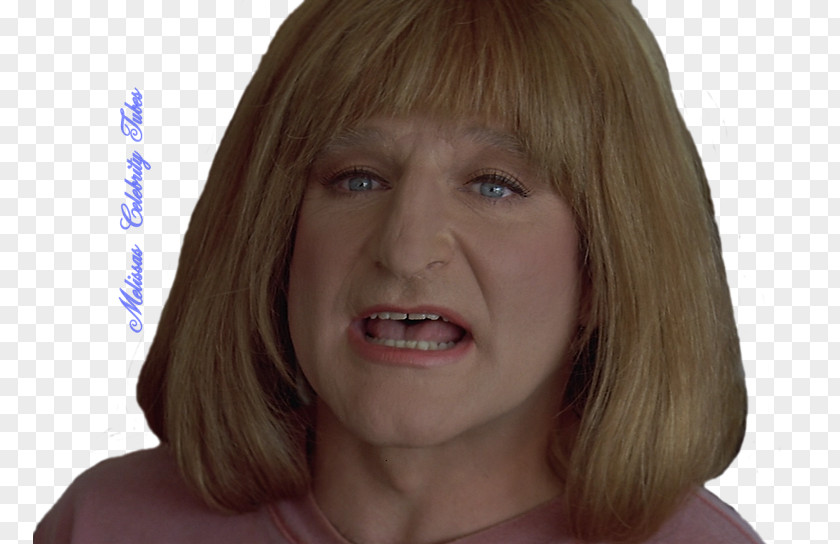 Robin Williams Hair Coloring Bangs Eyebrow Nose PNG