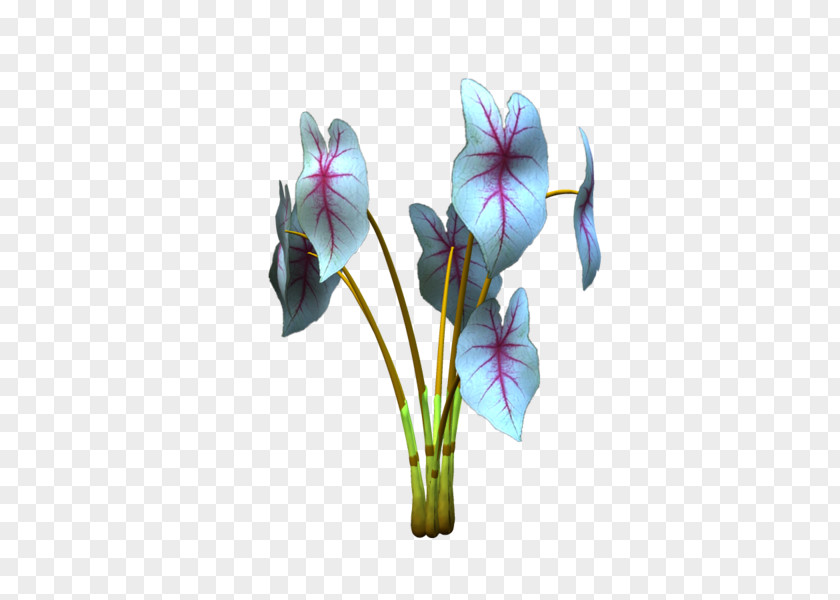 Violet Cut Flowers Plant Stem Violaceae PNG