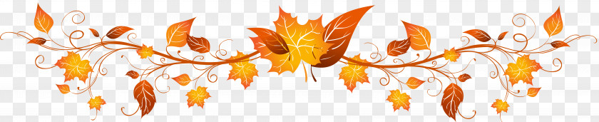 Autumn Art Drawing PNG