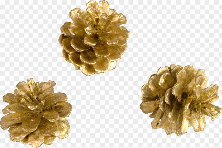 Christmas Gold Conifer Cone Clip Art PNG