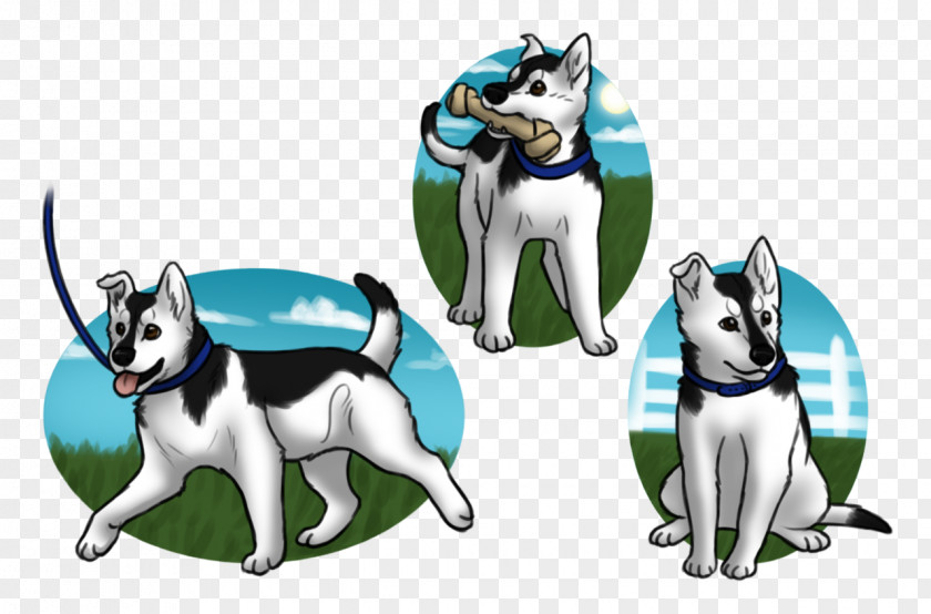 Husky Siberian Sakhalin Dog Breed PNG