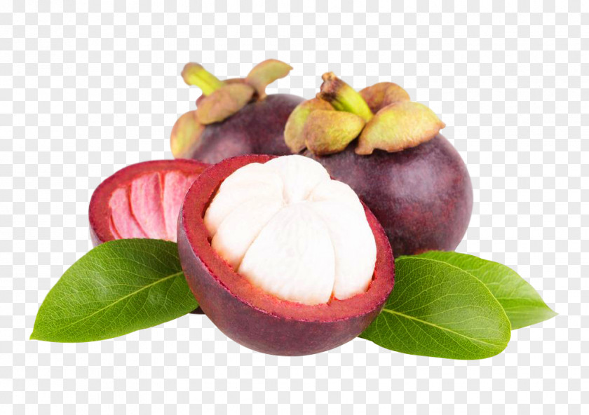 Purple Mangosteen Fruit Kulit Manggis Great-sun Foods Co., Ltd. Antioxidant PNG
